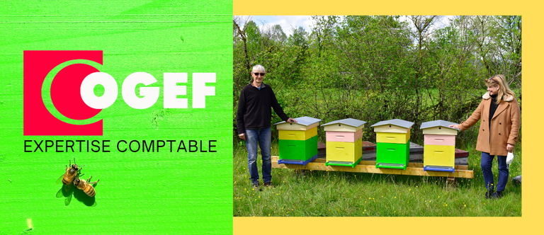 COGEF Expertise Comptable ouvre ses portes aux abeilles !